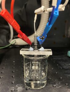 Water splitting setup without gas assessment. Silicon semiconductor electrode acting as the working electrode (red), platinum film electrode as the counter electrode (blue), and Ag/AgCl reference electrode (white) in 0.1 M KOH solution. In this setup, the photocurrent produced was used for the analysis of the hydrogen generation efficiency rather than the hydrogen generated.